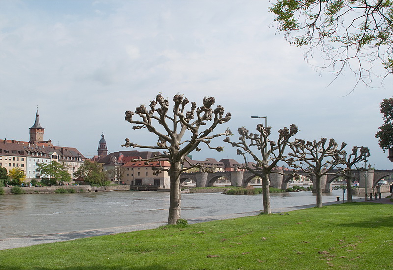 Südtirol IMG_2594 als Smart-Objekt-1 Kopie.jpg - Auf dem Weg nach Hause haben wir noch mal in Würzburg auf einem Stadt nahen Stellplatz übernachtet. Abends wollten wir uns noch die Altstadt ansehen, aber daraus wurde leider nichts denn es goß mal wieder in Strömen.. Am Morgen darauf sind wir wieder nach Hause gefahren. Der viele Regen und unser pupertierender Felix haben in den 25 Tagen nicht immer für Hochstimmung gesorgt, aber trotz alle dem waren ja noch einige schöne Tage darunter.